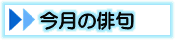 今月の俳句