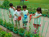 小動物飼育・植物栽培