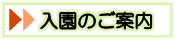 入園のご案内